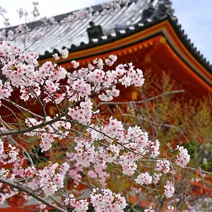 Sakura 祇園北 アパートホテル 京都市